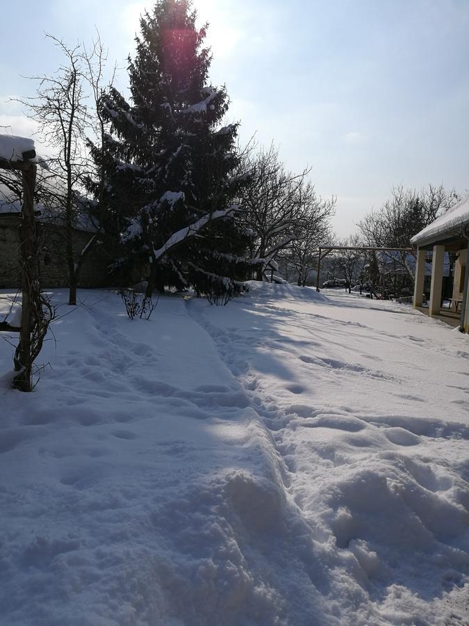 Koppány Lovasudvar Bakonykoppány Esterno foto
